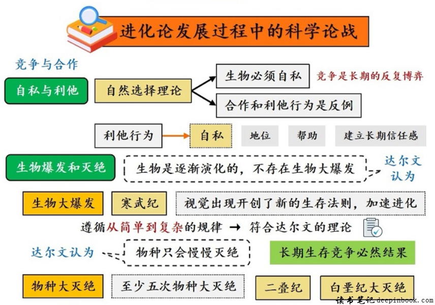 其实你不懂进化论思维导图