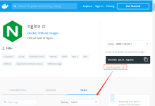 Docker 安装 Nginx|极客笔记