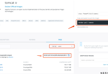 Docker 安装 Tomcat|极客笔记