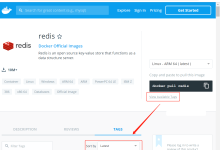 Docker 安装 Redis|极客笔记