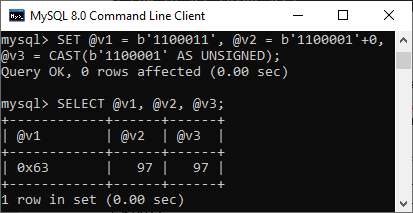 MySQL 字面量