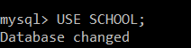 SQL 命令的类型