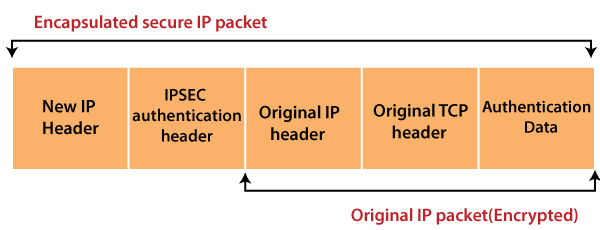 计算机 Extranet