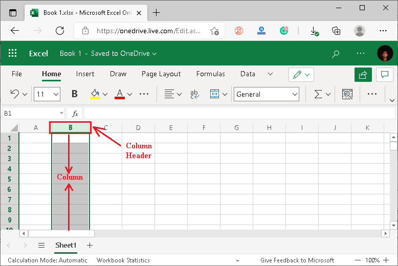 MS Excel Online