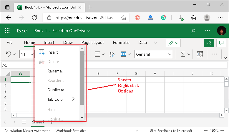 MS Excel Online