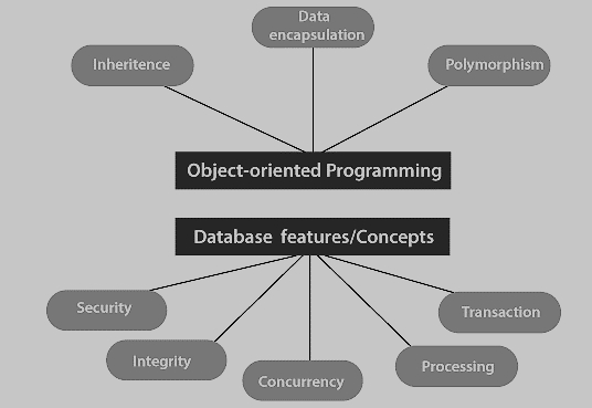 什么是不同类型的数据库管理系统(DBMS)