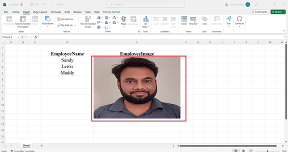 Excel 如何将图片插入到文本框中