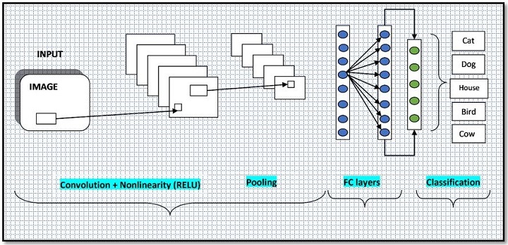 Python 使用CNN进行图像分类的初学者指南