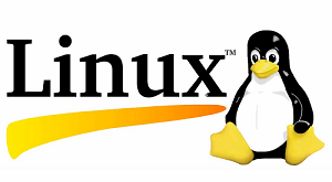 Linux和Solaris之间的差异