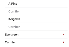 Swift 根据类别使用ForEach获取多个DisclosureGroup|极客笔记