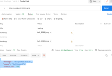 NestJS 如何创建一个端点，除了一个字符串字段外，还要接受两个文件|极客笔记