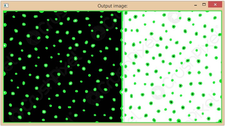 使用OpenCV Python检测白色和黑色点