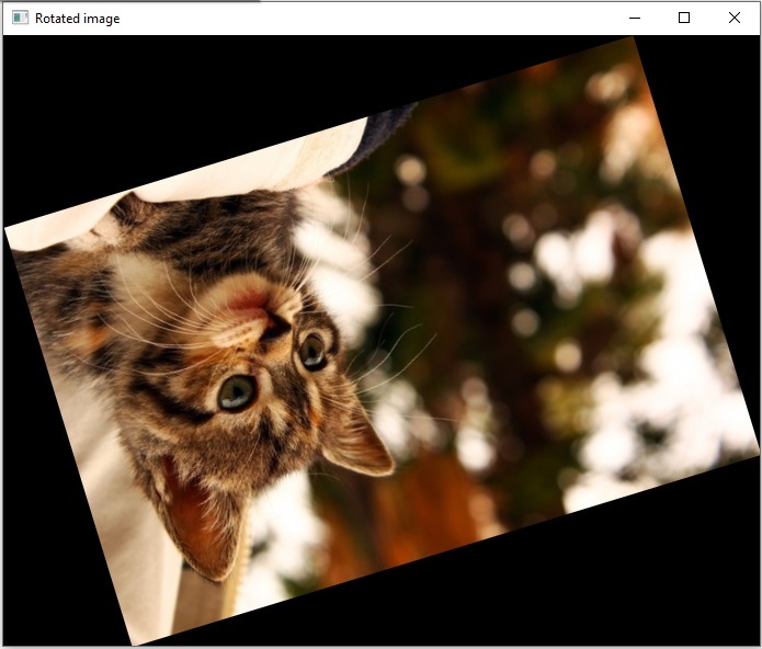 使用OpenCV Python旋转图像而不裁剪边缘