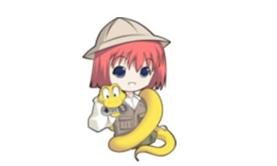 有哪些Python游戏引擎