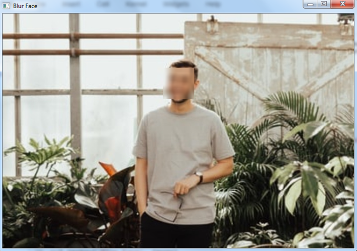 如何使用OpenCV Python在图像中模糊人脸
