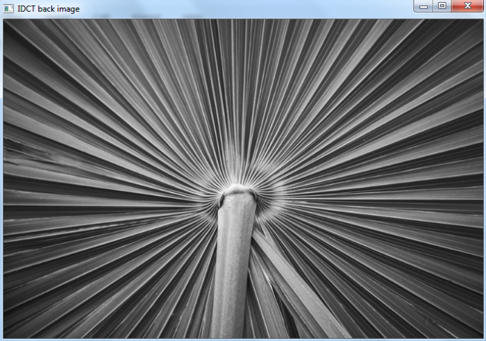 OpenCV Python 如何找到图像的离散余弦变换