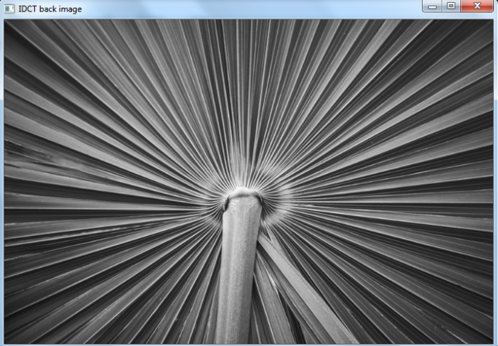 OpenCV Python 如何找到图像的离散余弦变换