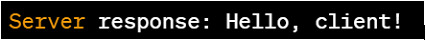 Java Legacy Socket API