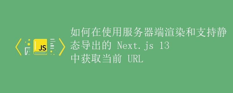 如何在使用服务器端渲染和支持静态导出的 Next.js 13 中获取当前 URL