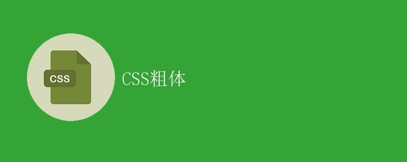 CSS 粗体