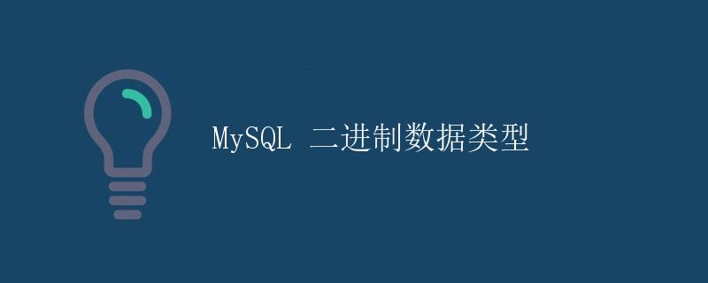 MySQL 二进制数据类型