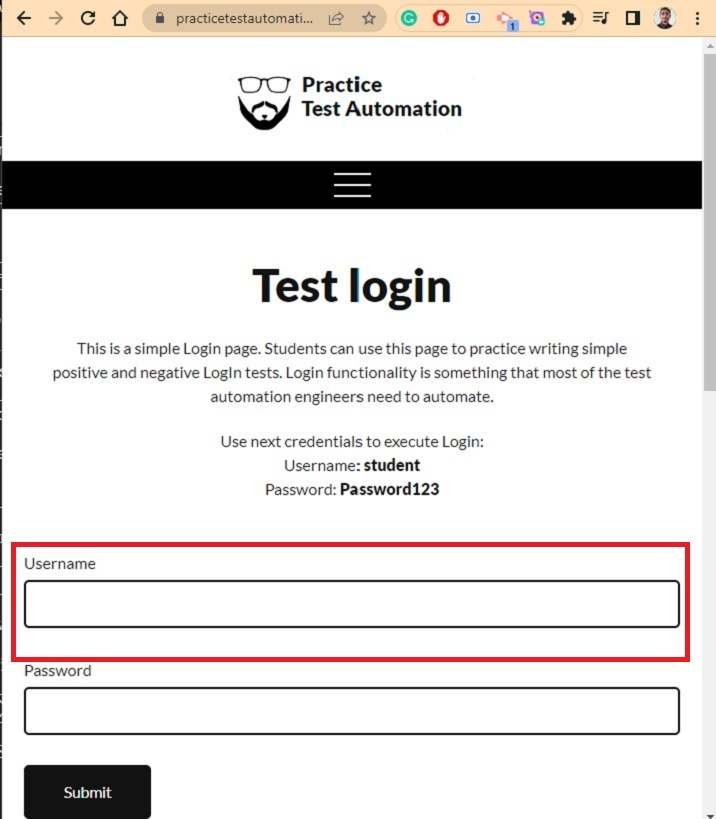 如何使用Selenium Web Driver和JavaScript登录任何网站