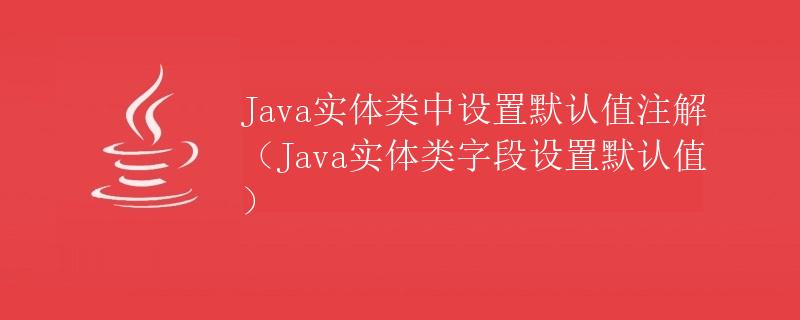 Java实体类中设置默认值注解（Java实体类字段设置默认值）