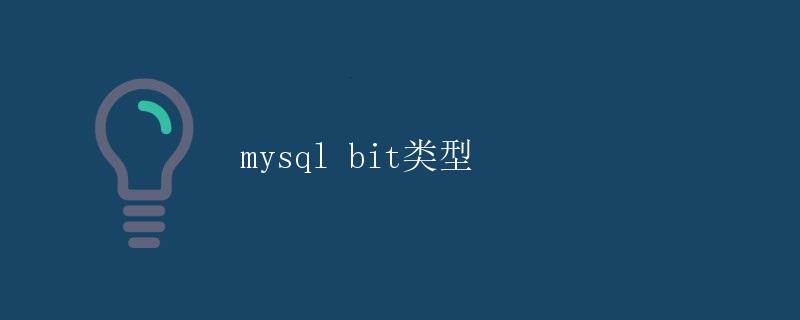 MySQL Bit类型详解