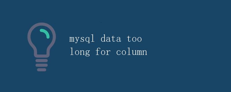 mysql data too long for column