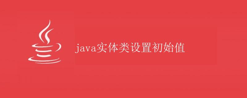 Java实体类设置初始值