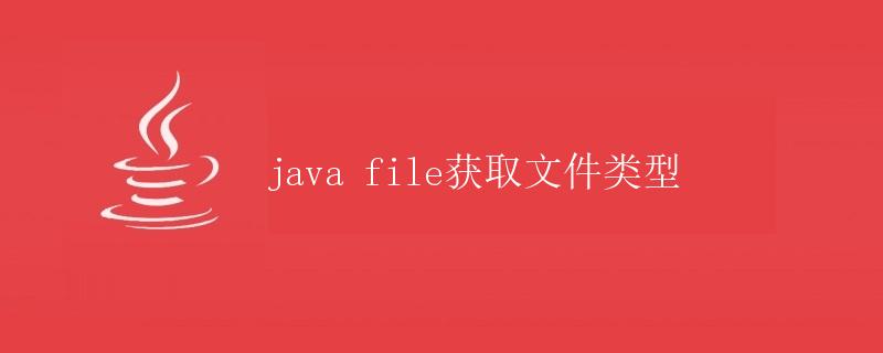 java file获取文件类型