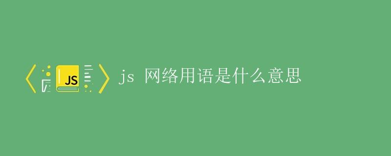 JS 网络用语是什么意思