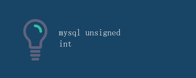 MySQL中的unsigned int