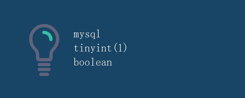 MySQL中的tinyint(1)数据类型和boolean类型