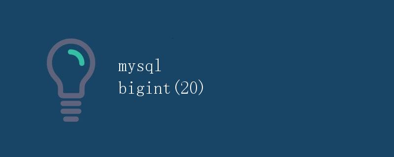 MySQL bigint(20)详解