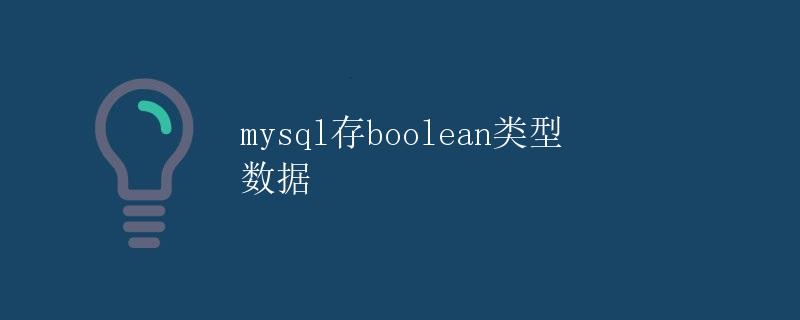 mysql存boolean类型数据