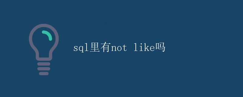 SQL里有NOT LIKE吗？