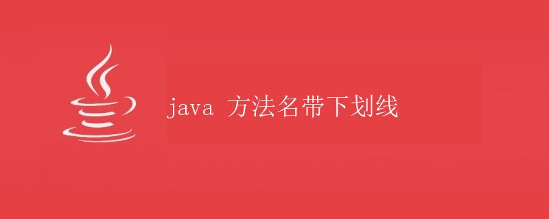 Java 方法名带下划线