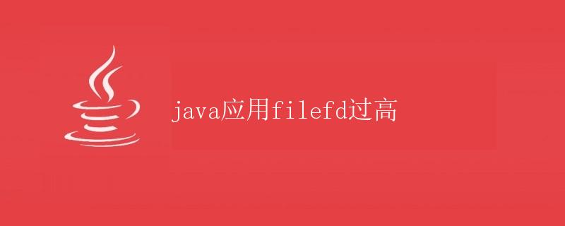 Java应用中filefd过高