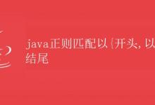 Java正则匹配以{开头，以}结尾|极客笔记
