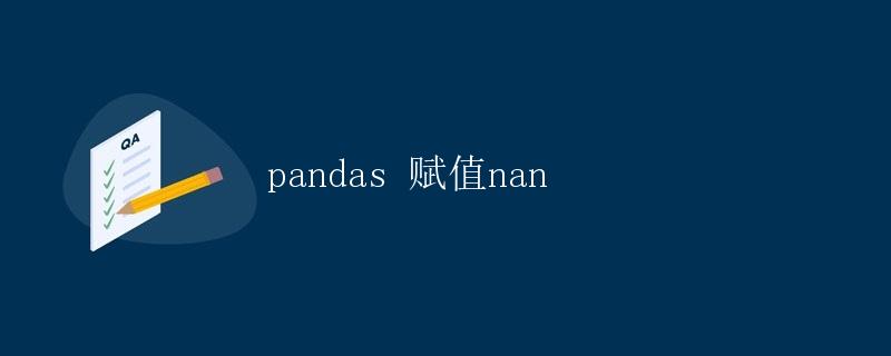 pandas 赋值nan