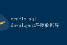 Oracle SQL Developer连接数据库|极客笔记