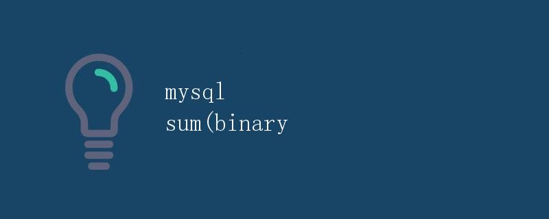 MySQL中SUM(binary)函数详解