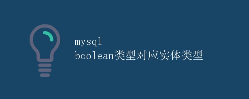 MySQL boolean类型对应实体类型