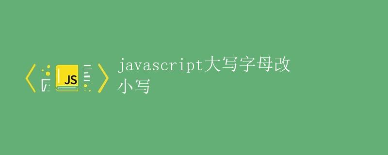 javascript大写字母改小写