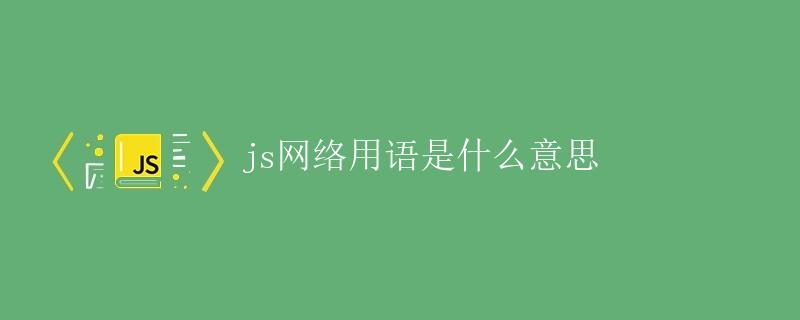 JS网络用语是什么意思