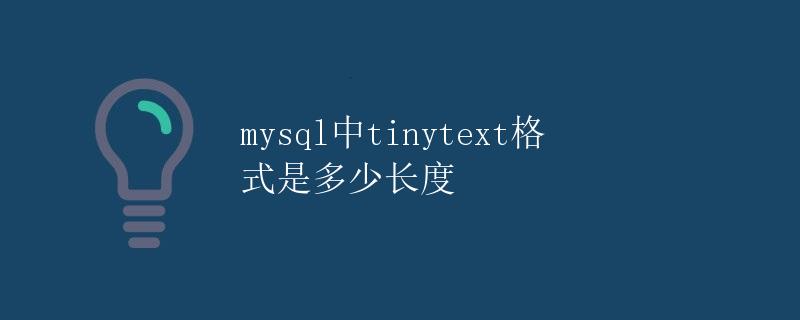 MySQL中tinytext格式是多少长度