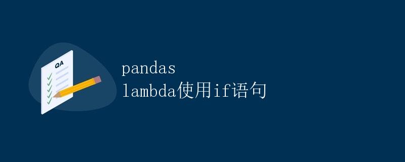 pandas lambda使用if语句