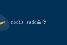 Redis Sadd命令详解|极客笔记