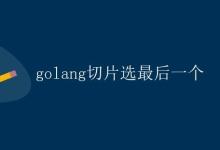 Golang切片选最后一个|极客笔记